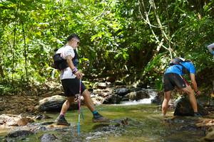 BIB: 
                            <button type="button" onclick="openModal(21842777)" class="btn btn-primary btn-sm float-right btn-popup" data-toggle="modal" data-target=".modal-high-quality">
                        <i class="fas fa-shopping-cart"></i> Add to Cart
                    </button>
                                            <button type="button" onclick="isThisMe(21842777, true)" class="btn btn-success btn-sm float-right btn-popup btn-isme hidden" data-toggle="tooltip" data-placement="bottom" title="นี่คือรูปของคุณใช่ไหม คลิกที่นี่เพื่อเอาเข้าอัลบั้ม">
                        <i class="fas fa-plus"></i> Add to album
                    </button>
                    <button type="button" onclick="isThisMe(21842777, false)" class="btn btn-warning btn-sm float-right btn-popup btn-isnotme hidden">
                        <i class="fas fa-ban"></i> Remove from album
                    </button>